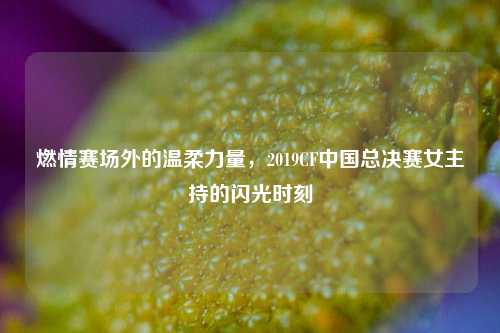 燃情赛场外的温柔力量,2019CF中国总决赛女主持的闪光时刻