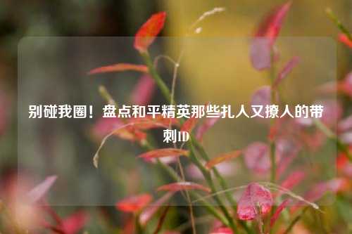 别碰我圈!盘点和平精英那些扎人又撩人的带刺ID