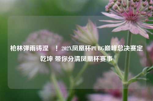 枪林弹雨铸涅槃!202X凤凰杯PUBG巅峰总决赛定乾坤 带你分清凤凰杯赛事