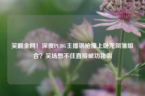 笑翻全网!深夜PUBG主播钢枪撞上卧龙凤雏组合?笑场憋不住直接破功猪叫
