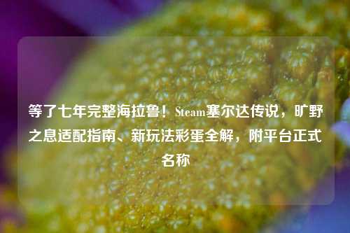 等了七年完整海拉鲁!Steam塞尔达传说,旷野之息适配指南、新玩法彩蛋全解,附平台正式名称