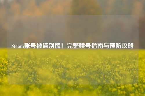 Steam账号被盗别慌！完整赎号指南与预防攻略