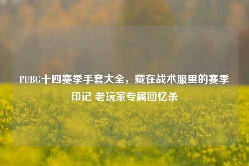 PUBG十四赛季手套大全，藏在战术服里的赛季印记 老玩家专属回忆杀