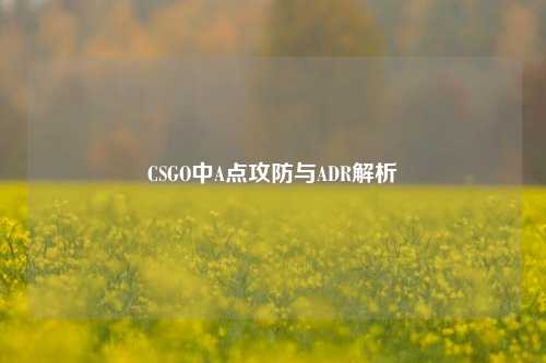 CSGO中A点攻防与ADR解析