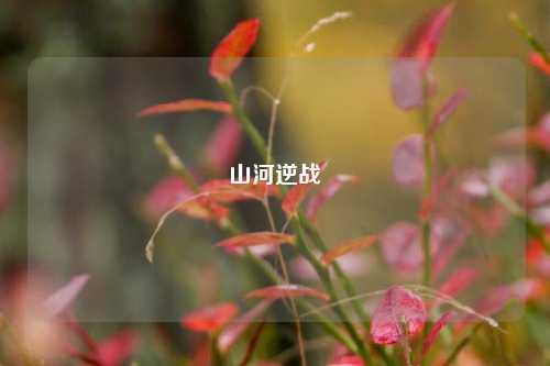 山河逆战