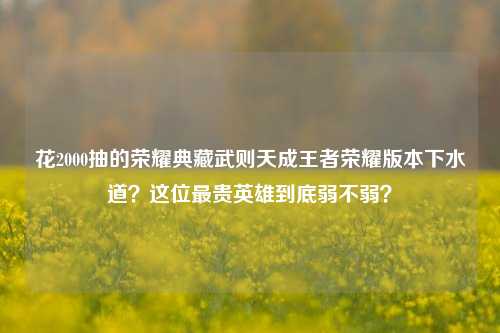 花2000抽的荣耀典藏武则天成王者荣耀版本下水道？这位最贵英雄到底弱不弱？