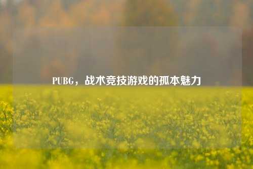 PUBG，战术竞技游戏的孤本魅力