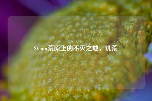 Steam荒原上的不灭之地，饥荒