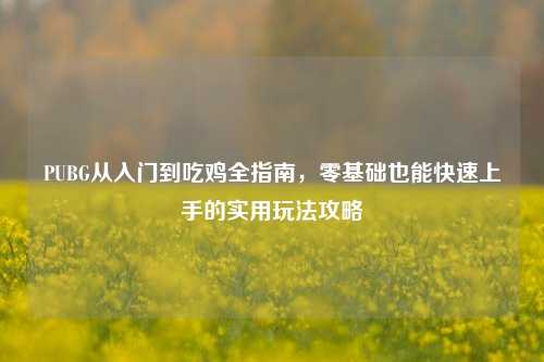 PUBG从入门到吃鸡全指南，零基础也能快速上手的实用玩法攻略