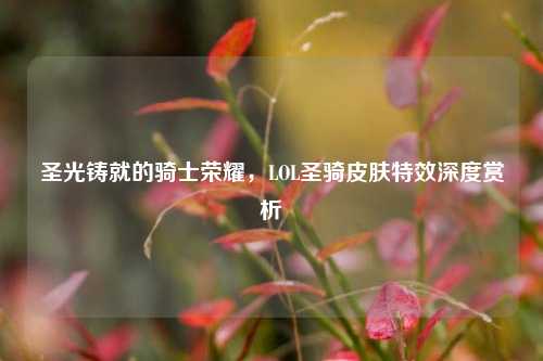 圣光铸就的骑士荣耀,LOL圣骑皮肤特效深度赏析
