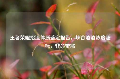 王者荣耀招渣体质鉴定报告,峡谷渣渣浓度超标,非命带煞