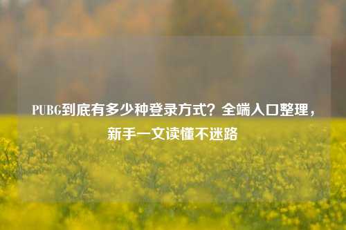 PUBG到底有多少种登录方式？全端入口整理，新手一文读懂不迷路