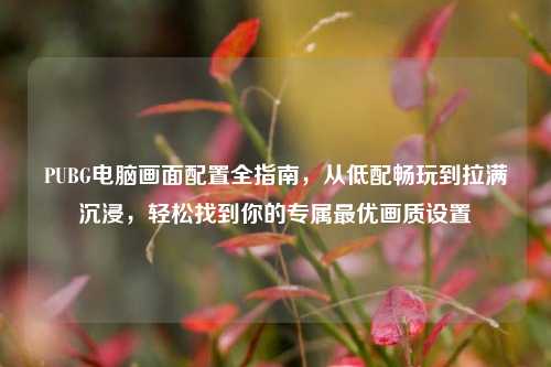 PUBG电脑画面配置全指南，从低配畅玩到拉满沉浸，轻松找到你的专属最优画质设置