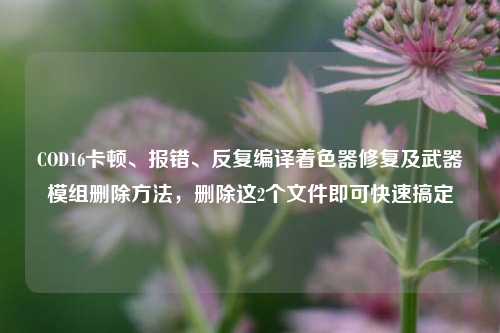 COD16卡顿、报错、反复编译着色器修复及武器模组删除方法，删除这2个文件即可快速搞定