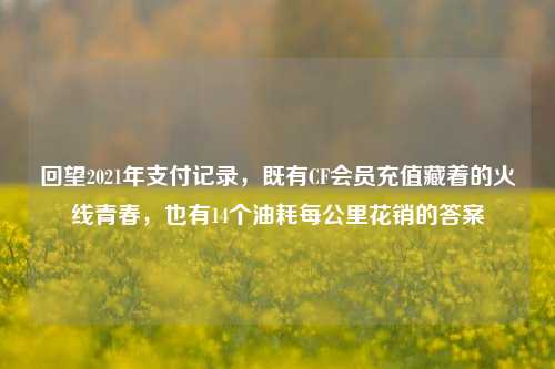 回望2021年支付记录，既有CF会员充值藏着的火线青春，也有14个油耗每公里花销的答案