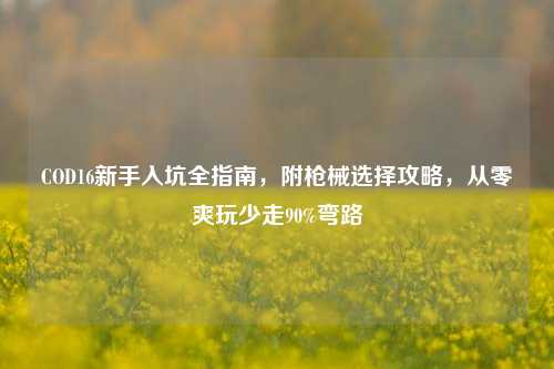 COD16新手入坑全指南，附枪械选择攻略，从零爽玩少走90%弯路