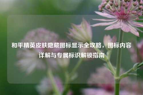 和平精英皮肤隐藏图标显示全攻略,图标内容详解与专属标识解锁指南