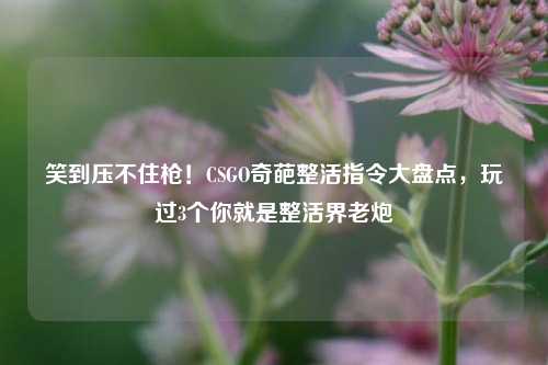 笑到压不住枪!CSGO奇葩整活指令大盘点,玩过3个你就是整活界老炮