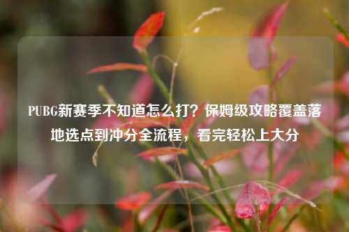 PUBG新赛季不知道怎么打?保姆级攻略覆盖落地选点到冲分全流程,看完轻松上大分