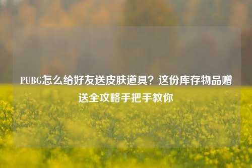 PUBG怎么给好友送皮肤道具?这份库存物品赠送全攻略手把手教你