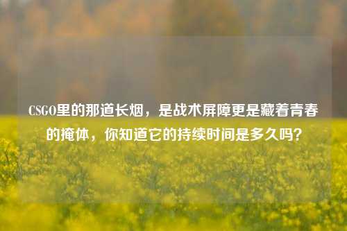 CSGO里的那道长烟,是战术屏障更是藏着青春的掩体,你知道它的持续时间是多久吗?