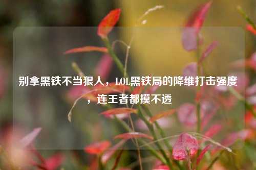 别拿黑铁不当狠人，LOL黑铁局的降维打击强度，连王者都摸不透