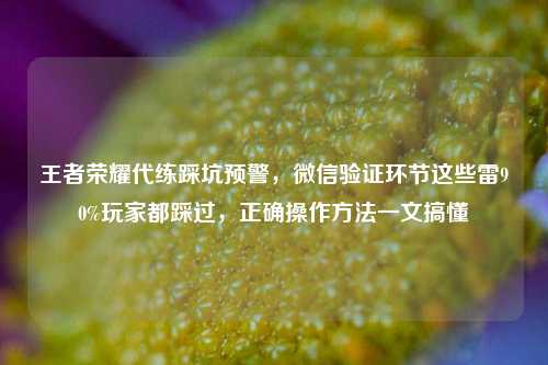 王者荣耀代练踩坑预警,微信验证环节这些雷90%玩家都踩过,正确操作方法一文搞懂