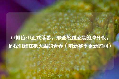 CF排位S19正式落幕,那些熬到凌晨的冲分夜,是我们藏在枪火里的青春(附新赛季更新时间)