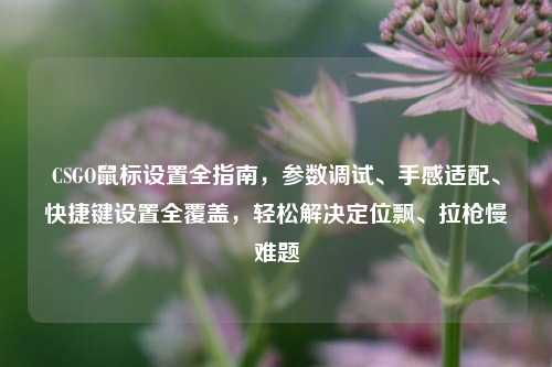 CSGO鼠标设置全指南，参数调试、手感适配、快捷键设置全覆盖，轻松解决定位飘、拉枪慢难题
