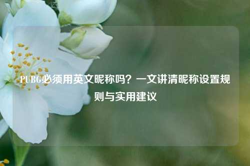 PUBG必须用英文昵称吗？一文讲清昵称设置规则与实用建议