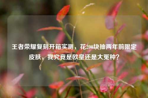 王者荣耀复刻开箱实测，花200块抽两年前限定皮肤，我究竟是欧皇还是大冤种？