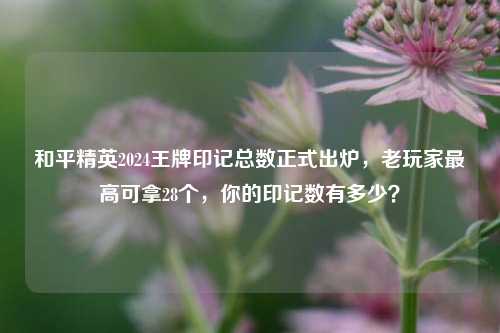 和平精英2024王牌印记总数正式出炉，老玩家最高可拿28个，你的印记数有多少？