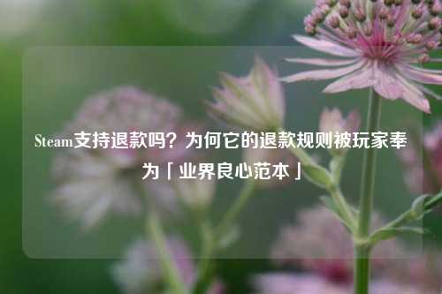 Steam支持退款吗？为何它的退款规则被玩家奉为「业界良心范本」