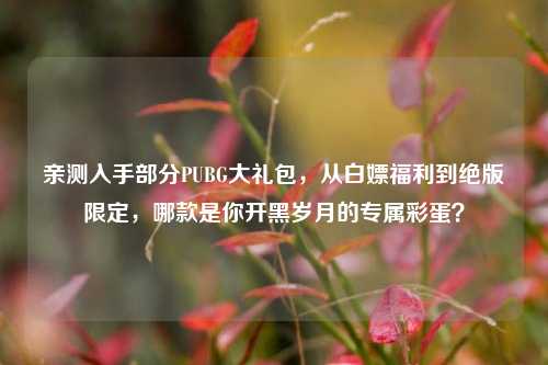 亲测入手部分PUBG大礼包，从白嫖福利到绝版限定，哪款是你开黑岁月的专属彩蛋？