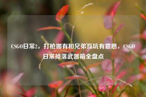 CSGO日常2，打枪哪有和兄弟互坑有意思，CSGO日常掉落武器箱全盘点