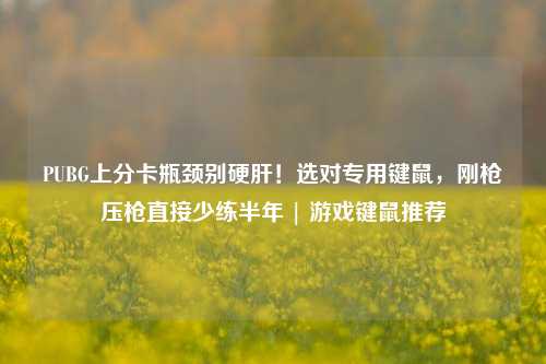 PUBG上分卡瓶颈别硬肝！选对专用键鼠，刚枪压枪直接少练半年 | 游戏键鼠推荐
