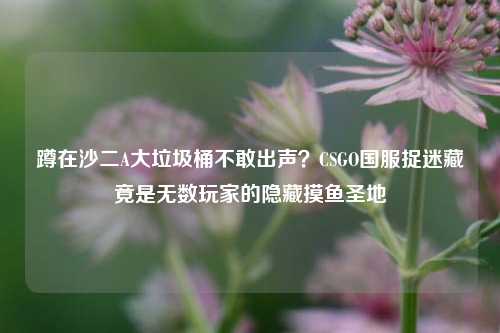 蹲在沙二A大垃圾桶不敢出声？CSGO国服捉迷藏竟是无数玩家的隐藏摸鱼圣地