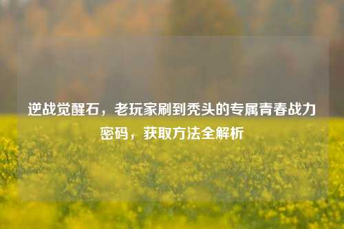 逆战觉醒石，老玩家刷到秃头的专属青春战力密码，获取方法全解析