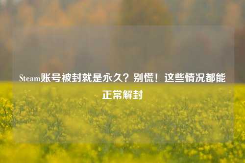 Steam账号被封就是永久？别慌！这些情况都能正常解封
