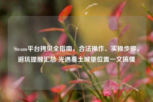 Steam平台拷贝全指南,合法操作、实操步骤、避坑提醒汇总 光遇墓土城堡位置一文搞懂