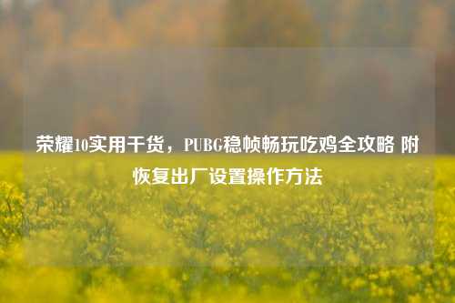 荣耀10实用干货，PUBG稳帧畅玩吃鸡全攻略 附恢复出厂设置操作方法