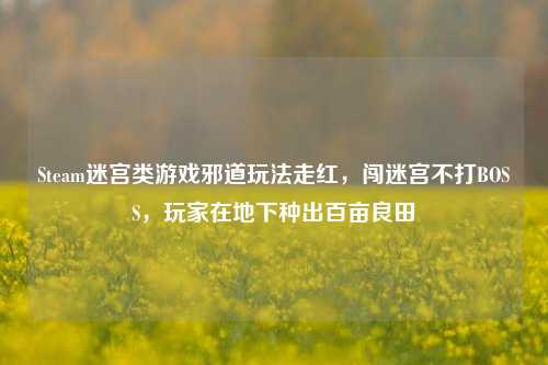 Steam迷宫类游戏邪道玩法走红,闯迷宫不打BOSS,玩家在地下种出百亩良田