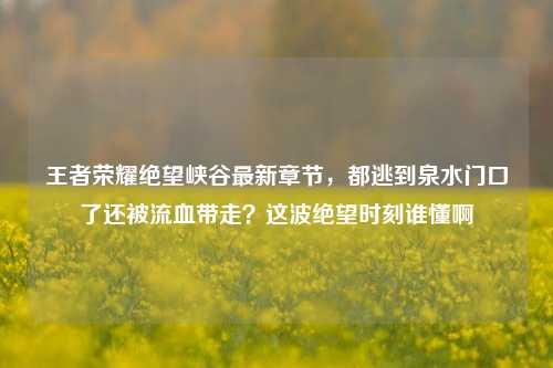 王者荣耀绝望峡谷最新章节，都逃到泉水门口了还被流血带走？这波绝望时刻谁懂啊