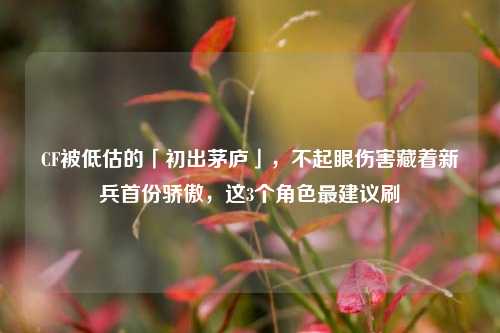 CF被低估的「初出茅庐」，不起眼伤害藏着新兵首份骄傲，这3个角色最建议刷