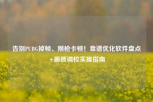 告别PUBG掉帧、刚枪卡顿！靠谱优化软件盘点+画质调校实操指南