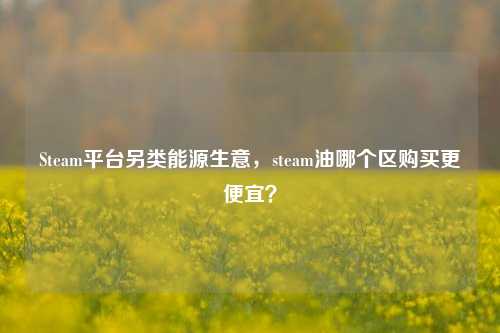 Steam平台另类能源生意,steam油哪个区购买更便宜?
