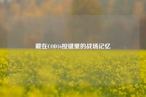 藏在COD16按键里的战场记忆