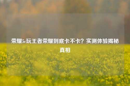 荣耀5c玩王者荣耀到底卡不卡？实测体验揭秘真相