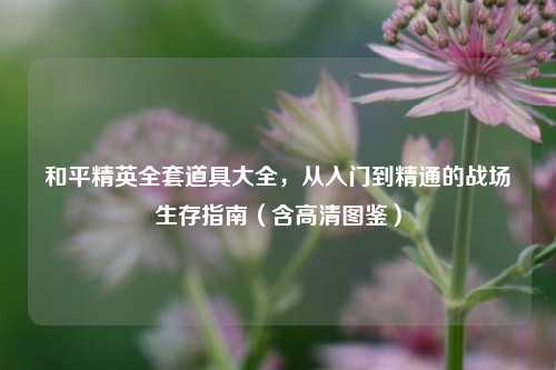 和平精英全套道具大全，从入门到精通的战场生存指南（含高清图鉴）