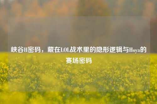 峡谷H密码,藏在LOL战术里的隐形逻辑与Hoya的赛场密码